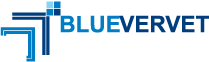Blue Vervet